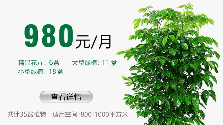 980元套餐